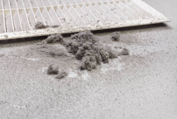 Best Affordable Duct Cleaning Services  in Fort Thompson, SD