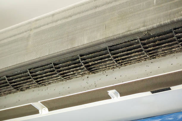 Best Affordable Duct Cleaning Services  in Fort Thompson, SD